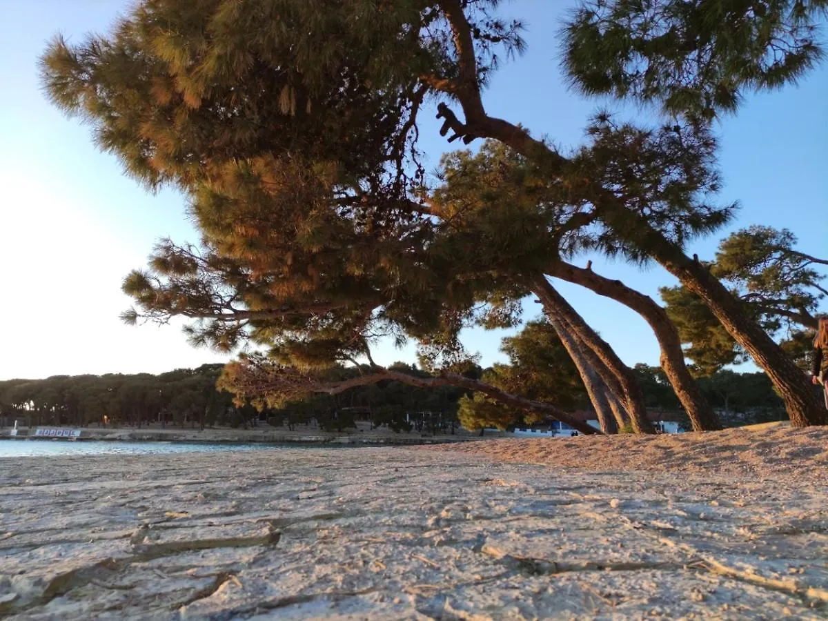 Mobile Home Eden Pavlov Biograd Na Moru 0*,