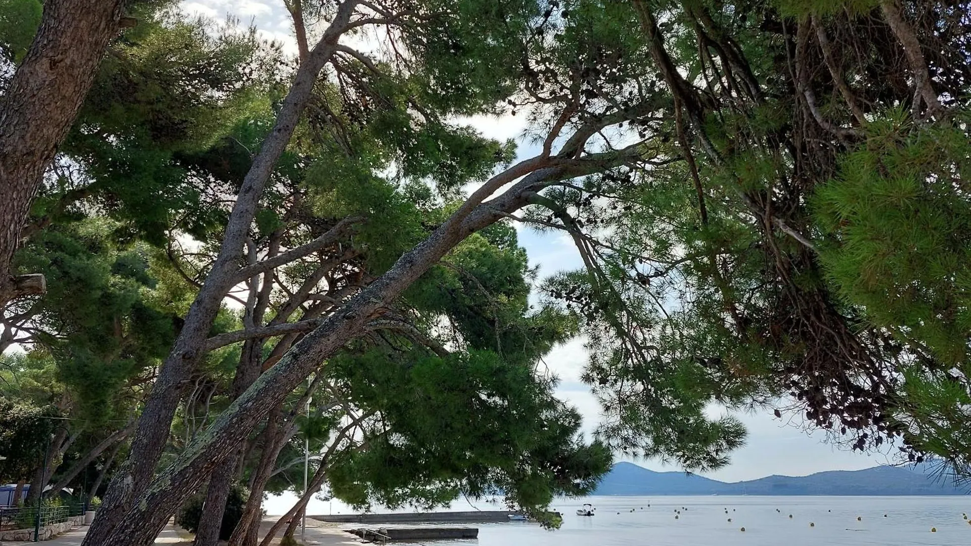 Campsite Mobile Home Eden Pavlov Biograd Na Moru